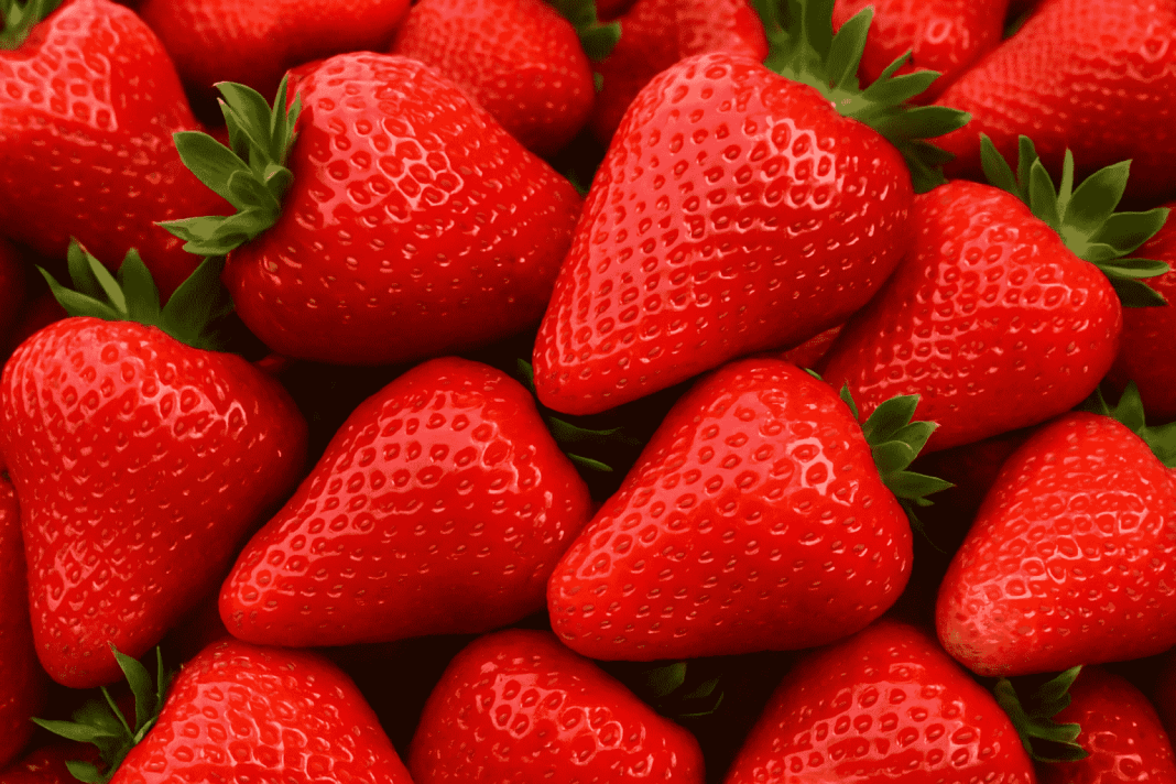 giant-uk-strawberries